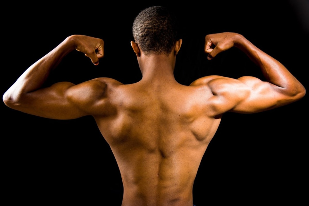 Protein-Einnahme für Muskelaufbau